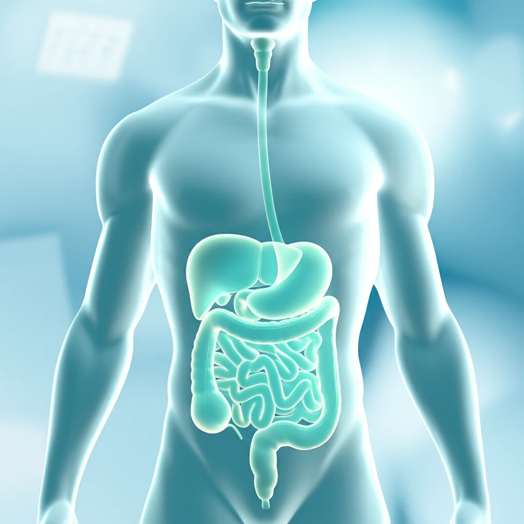 본론1(h3가 3개 있는 상태) 이미지 1