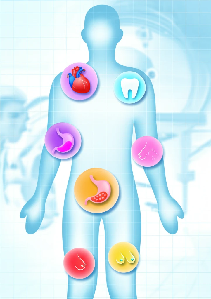 보건복지부 심사 과정 이미지