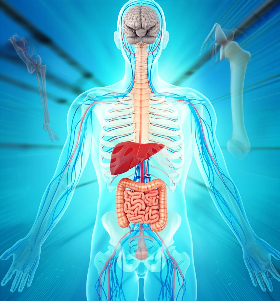 본론1(h3가 3개 있는 상태) 이미지 1